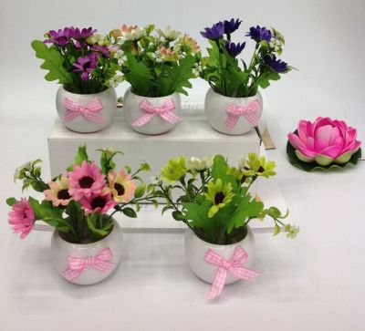 Little daisy flower decoration Home Furnishing potted bonsai