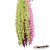 The flower five fork orchid hanging Home Furnishing decoration flower flowers