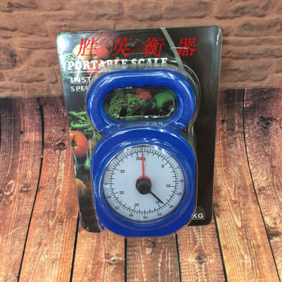 The new 35kg mechanical Fishing Scale suction card
