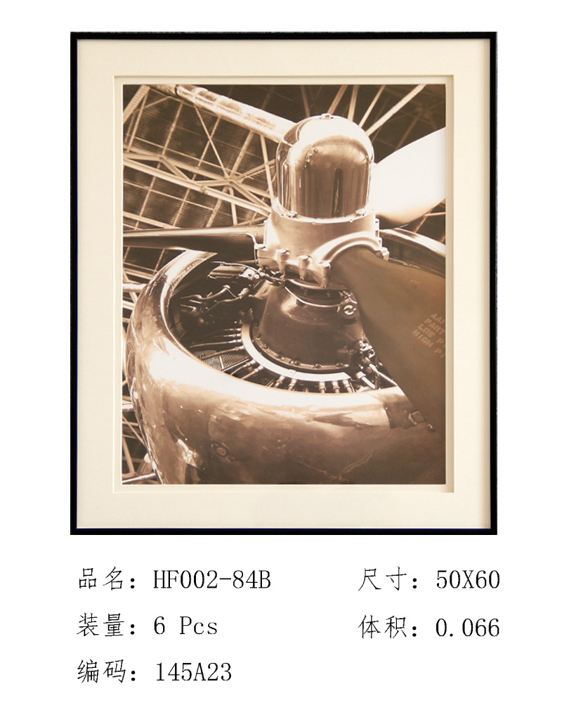 厂家直销  时尚家居装饰 精美 螺旋桨  挂壁画