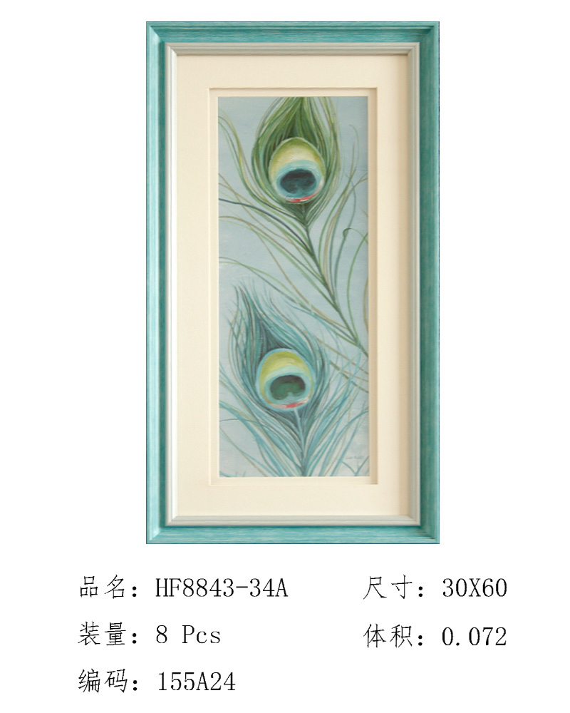 厂家直销  时尚家居装饰 精美 羽毛  挂壁画