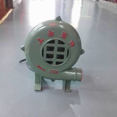 CZR Blower, Centrifugal Blower, Hair Dryer, Pig Iron Shell Copper Wire