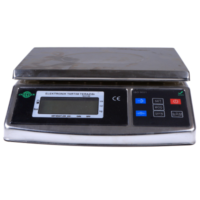 Dayang stainless steel weighing Limited weight scale, industrial scale