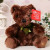 Teddy Bear Doll Colorful Bear Wedding Doll Prize Claw Doll 25cm Wedding Tossing