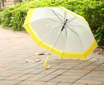 Cartoon long handle umbrella student umbrella transparent umbrella jelly color umbrella
