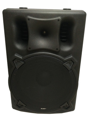 15 inch floor type outdoor speaker, with power amplifier USB/SD/ Bluetooth / radio speaker