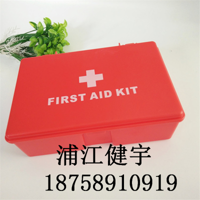 Factory direct household mini plastic storage box medical emergency medicine box survival waterproof climbing case