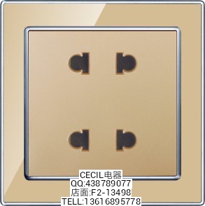 开关插座USB转换插插头USB赛西尔电器 F2系列金色