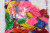 Lanfei No. 6 Ordinary Birthday Balloon Decoration Balloon Rubber Balloons Inflatable Toy