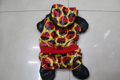 New star pet clothing 7 star ladybug 4-foot cotton garment autumn-winter style