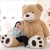 Teddy bear cuddle bear doll
