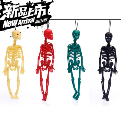 The human skeleton model plastic Halloween hot products