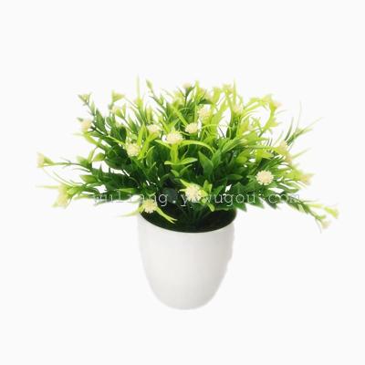 Simulation of the water plant plastic flowers flowers Home Furnishing Industrial decoration mini small potted plants
