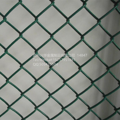 Manufacturer plastic diamond net, PVC chain link fence, wire mesh