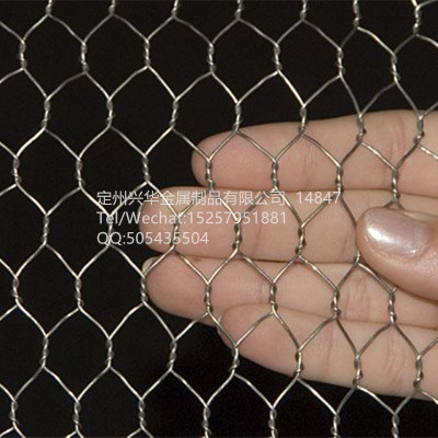 Supply galvanized hexagonal net twist net net chicken wire fence manufacturers, Wrie mesh