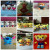 Nine Yuan Nine Plush Recording Luminous Toy Ten Yuan Store Mixed Batch Plush