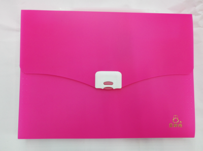 Shengyilai File Holder 13 Th Floor Support Sample Customization and Printing Logo Factory Direct Sales