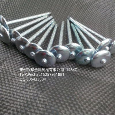 Galvanized roofing nails 9 G  2.5, Iron nails, Nails, steel nails