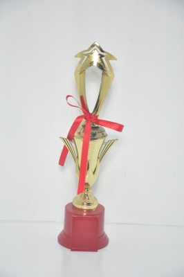 Lao Zheng Plastic Trophy 12-5