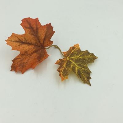 Maple Leaf Red Leaves