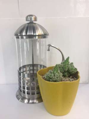 Factory direct method of pressure filtration pot of tea tea pot household coffee filter pot filter cup