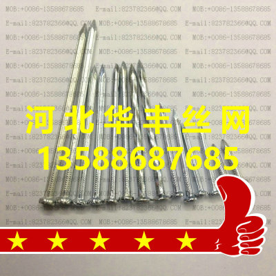 Steel nail galvanized cement nail