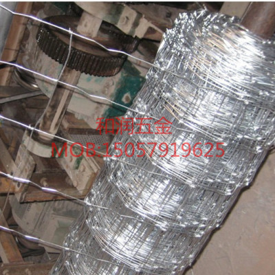 Cattle, fence wire galvanized fence wire