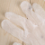 Disposable PVC Gloves Sanitary Catering Oil-Proof Beauty Hairdressing Household Gloves Wholesale