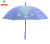 POE transparent umbrella with anti ultraviolet ray light color changing straight rod