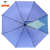 POE transparent umbrella with anti ultraviolet ray light color changing straight rod