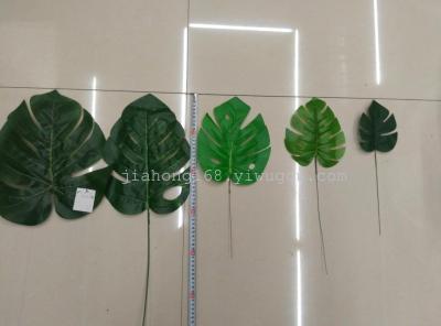 Big and small series of turtle back leaf