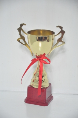 Laozheng Jinsu Uncovered Trophy 111