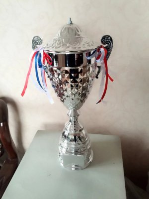 Lao Zheng Jinsu Trophy 16-2