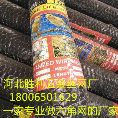 chicken wire netting  hebei factory