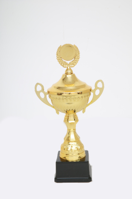 Lao Zheng Jinsu Trophy 270
