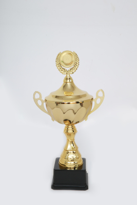 Lao Zheng Jinsu Trophy 268