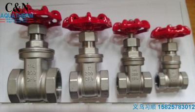 American Standard stainless steel gate valve