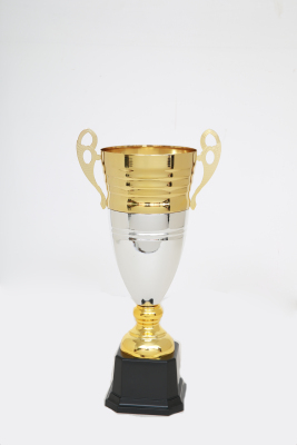 Laozheng Metal Trophy 2102