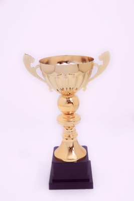 Lao Zheng Jinsu Trophy 2085