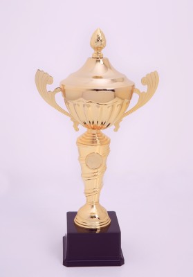 Lao Zheng Jinsu Trophy 668