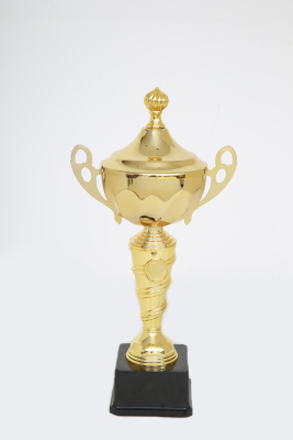 Lao Zheng Jinsu Trophy 658