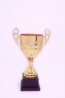 Laozheng Metal Trophy 2083