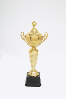 Lao Zheng Jinsu Trophy 657