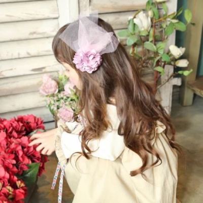 2017 new European version of the little girl baby girl hairpin headdress flower flowers edge clip son