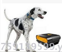 Pet tracker GPS personal waterproof real-time tracking positioning Mini GPS