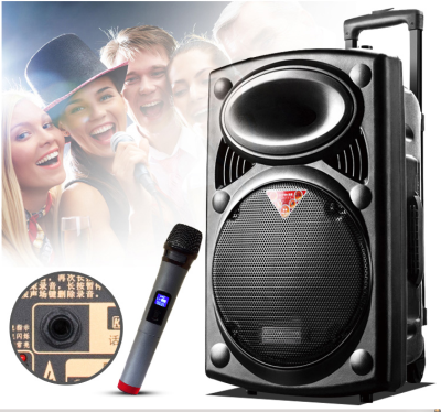 12 inch 15 inch battery charging mobile pull heavy bass speaker