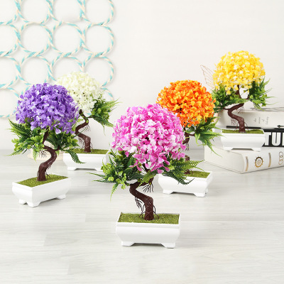 The Trident mushroom tree peanut prime simulates plant cornucopia simulation of pot decoration