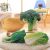Hot Sale Creative Simulation Vegetable Pillow Broccoli Cabbage Green Vegetable Cushion Home Supplies Plush Toy Doll