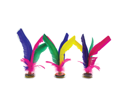 HJ-K2021 large color feather shuttlecock