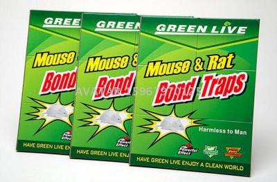 Green live mouse & rat bond traps mouse glue mouse trap  with high quality